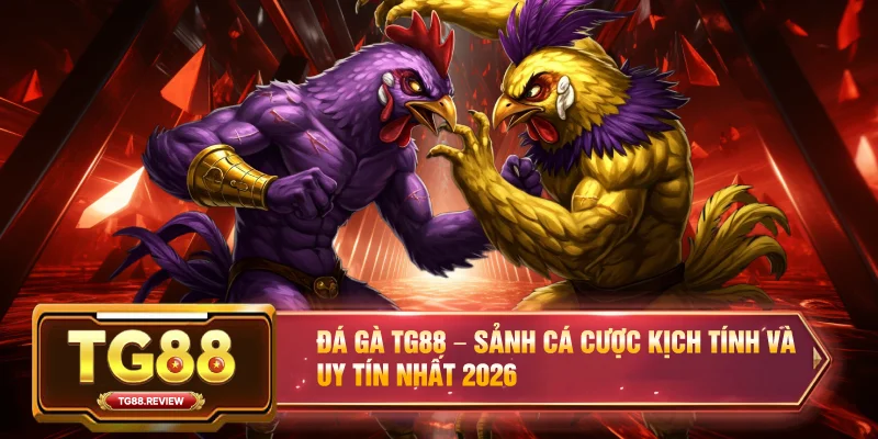 Đá Gà TG88 – Sảnh Cá Cược Kịch Tính Và Uy Tín Nhất 2026