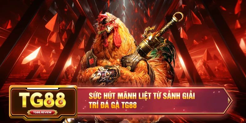 Sức hút mãnh liệt từ sảnh giải trí Đá Gà TG88